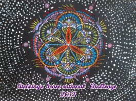 sensational-challenge-2017