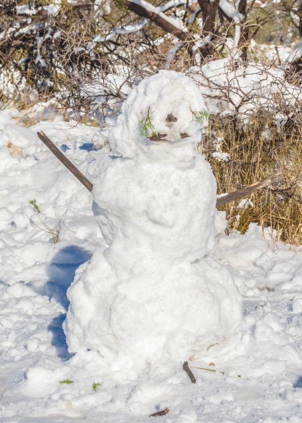 Snowman 2