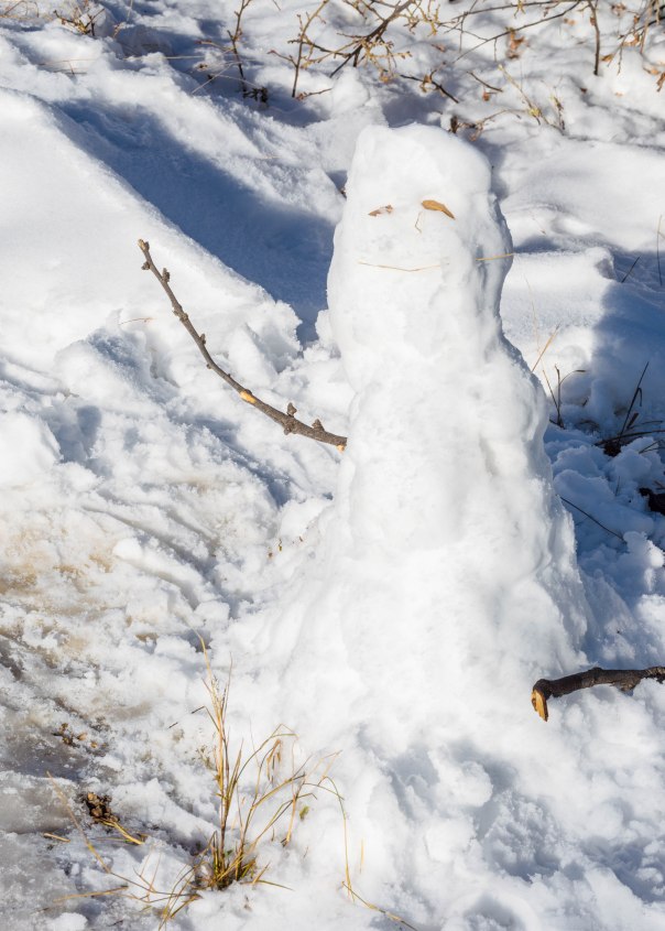 Snowman 3